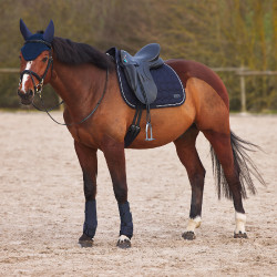 Stinchiere chiuse in neoprene Horze Blu navy scuro Stinchiere chiuse in neoprene Horze Blu navy scuro