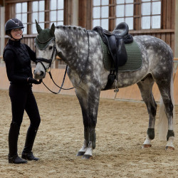 Paratendini Adepto Horze Scarabeo verde kaki