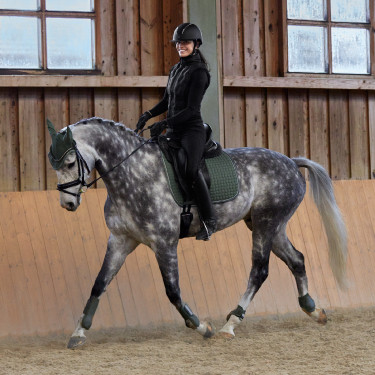 Paratendini Adepto Horze Scarabeo verde kaki