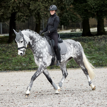 Paratendini Adepto Horze Grigio acciaio Paratendini Adepto Horze Grigio acciaio