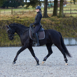 Zadeldek veelzijdig Adepto Horze Marrone scuro Zadeldek veelzijdig Adepto Horze Marrone scuro