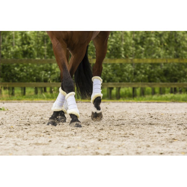 Stinchiere Lami-Cell Comfort Stinchiere Lami-Cell Comfort
