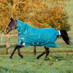 Coperta Horseware Amigo® Bravo 12 Plus 400g 1200D