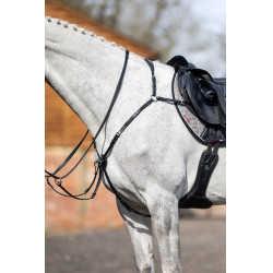 Pettorale con martingala LeMieux Nero