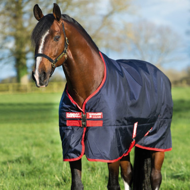 Coperta da esterno Horseware Rambo Original 200g