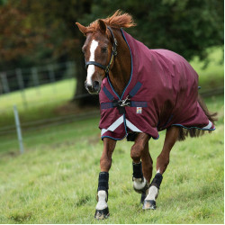Coperta da esterno Horseware Rambo Wug 200g