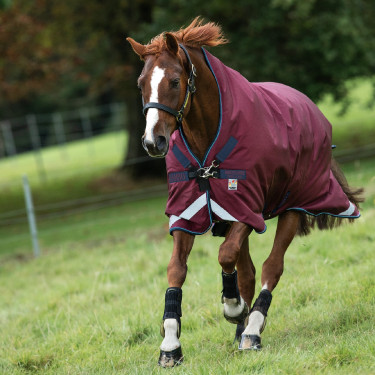 Coperta da esterno Horseware Rambo Wug 200g