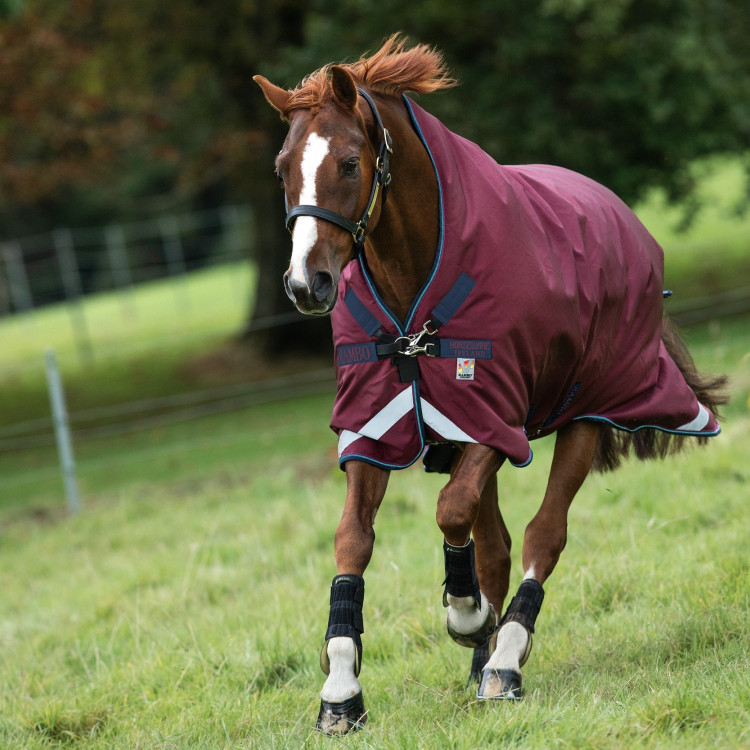 Coperta da esterno Horseware Rambo Wug 200g