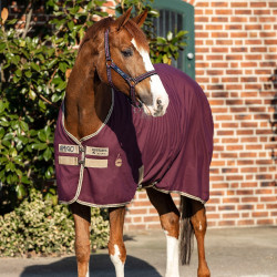 Camicia da box Horseware Amigo Delphinium 0g