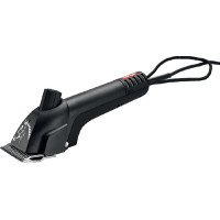 TOSATRICE NORTON PROGRESS TOSATRICE NORTON PROGRESS