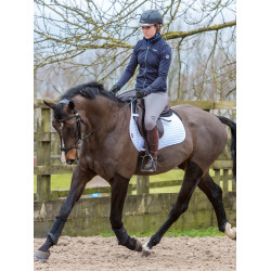 Sottosella LeMieux GP Quadrato Cotone Bianco modello vecchio