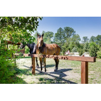 Pannelli stabilizzatori... Pannelli stabilizzatori...