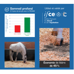 Materasso da box Pégase