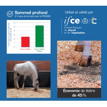 Materasso da box Pégase