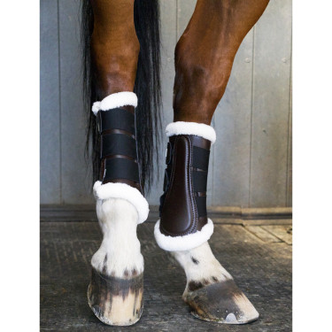 Stinchiere da dressage posteriori T de T Stinchiere da dressage posteriori T de T