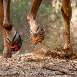 Hipposandalo Scootboot Adjust (Enduro) Hipposandalo Scootboot Adjust (Enduro)
