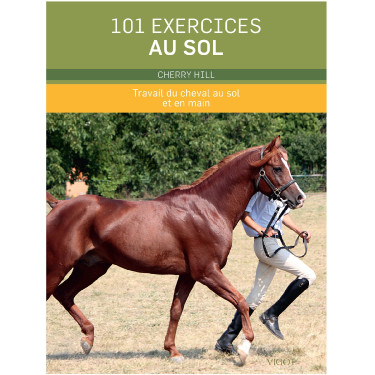 101 esercizi da terra 101 esercizi da terra