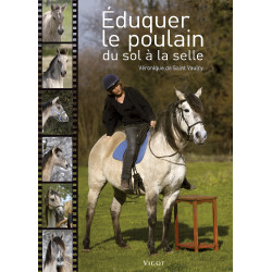 Educare il puledro da terra alla sella Educare il puledro da terra alla sella