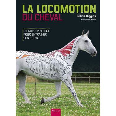 La Locomozione del Cavallo La Locomozione del Cavallo