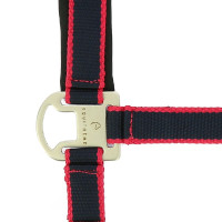 Capezzina + lunghina Equitheme Satinato Marina / fucsia Blu Capezzina + lunghina Equitheme Satinato Marina / fucsia Blu