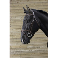 Briglia Norton Pro Intagliata Avana Marrone