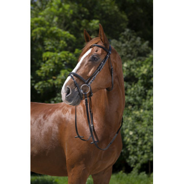 Briglia Riding World Capezzina combinata Nero Briglia Riding World Capezzina combinata Nero