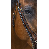 Bridon Eric Thomas Pro Wave Nero