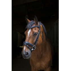 Bridon Eric Thomas Pro Design Nero