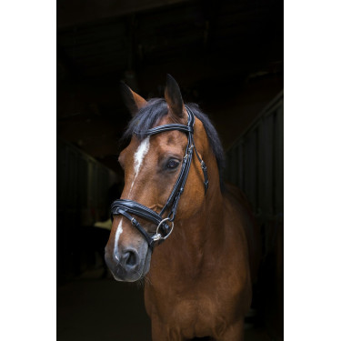 Bridon Eric Thomas Pro Design Nero