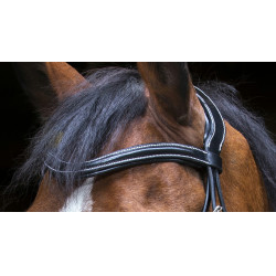 Bridon Eric Thomas Pro Design Nero