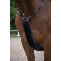 Fodero per collare da caccia Equithème Teddy Nero