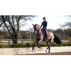 Tapis LeMieux dressage Soft Shell antidérapant Bordeaux