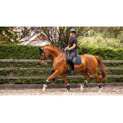 Sottosella da dressage LeMieux softshell antiscivolo Sottosella da dressage LeMieux softshell antiscivolo