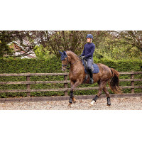 Sottosella da dressage LeMieux softshell antiscivolo Blu navy