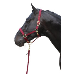 Capezzina Classy Covalliero Capezzina Classy Covalliero