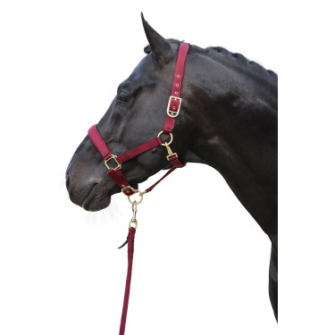 Capezzina Classy Covalliero Capezzina Classy Covalliero