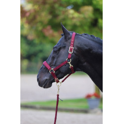 Capezzina Classy Covalliero Capezzina Classy Covalliero