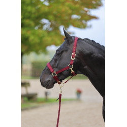 Capezzina Classy Covalliero Capezzina Classy Covalliero