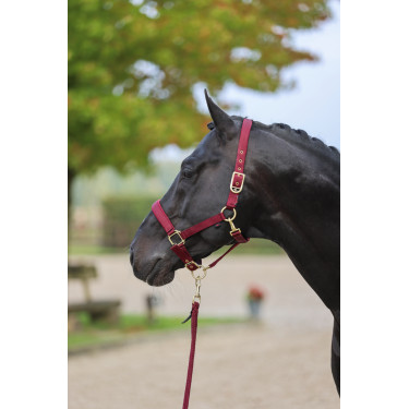 Capezzina Classy Covalliero Capezzina Classy Covalliero