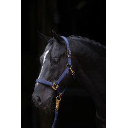 Capezza TopLine Covalliero Blu navy Capezza TopLine Covalliero Blu navy
