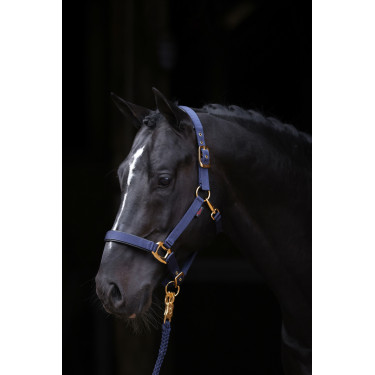 Capezza TopLine Covalliero Blu navy Capezza TopLine Covalliero Blu navy