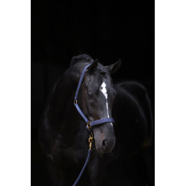 Capezza TopLine Covalliero Blu navy Capezza TopLine Covalliero Blu navy