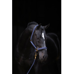 Capezza TopLine Covalliero Blu navy Capezza TopLine Covalliero Blu navy