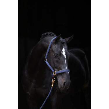 Capezza TopLine Covalliero Blu navy Capezza TopLine Covalliero Blu navy