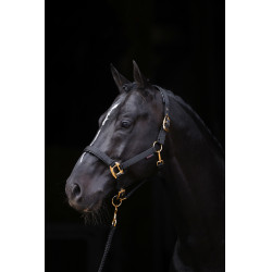 Capezza TopLine Covalliero Nero