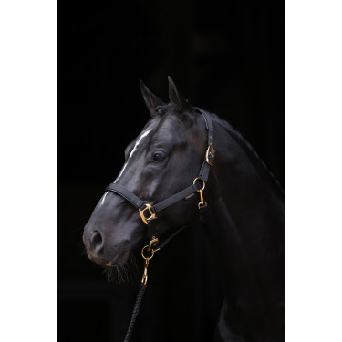 Capezza TopLine Covalliero Nero