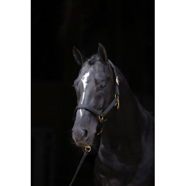 Capezza TopLine Covalliero Nero