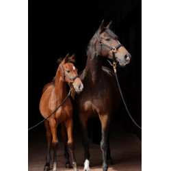 Capezza TopLine Covalliero Nero