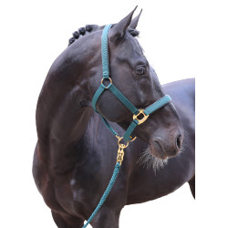 Capezza TopLine Covalliero Capezza TopLine Covalliero