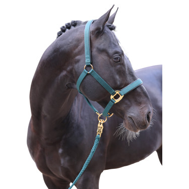 Capezza TopLine Covalliero Capezza TopLine Covalliero